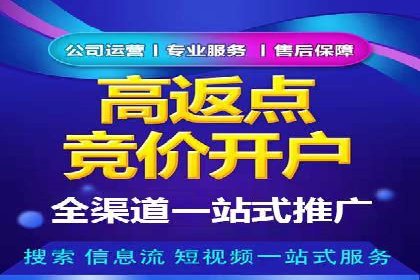 百度搜索推广实战：经典案例深度剖析